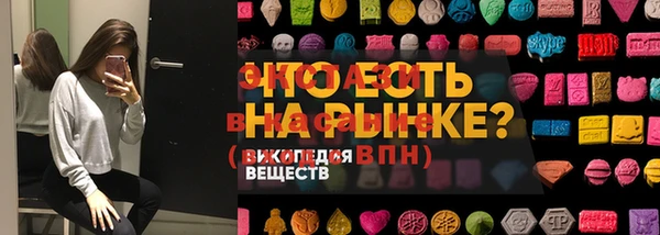 гашик Алексин