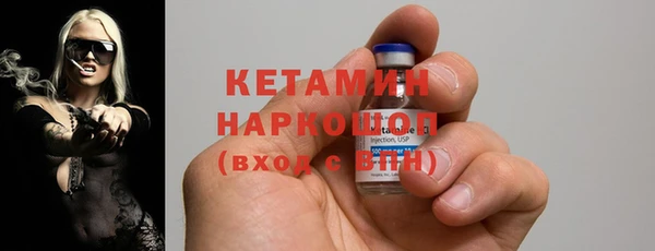 гашик Алексин