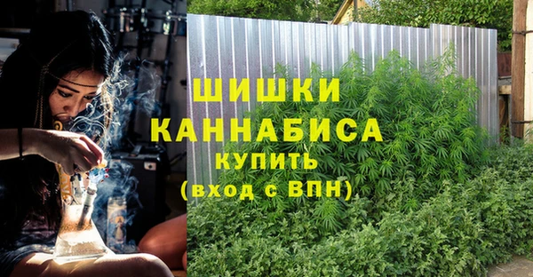 PSILOCYBIN Алзамай