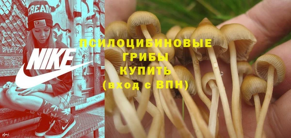 прущие крисы Алексеевка
