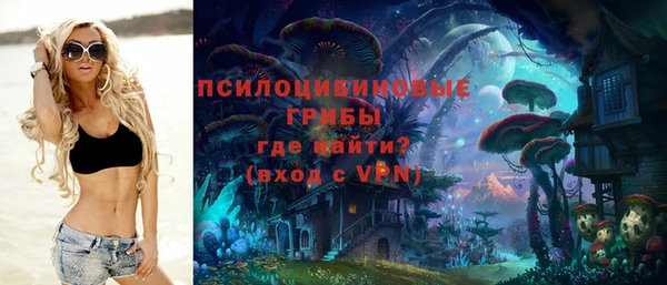 PSILOCYBIN Алзамай