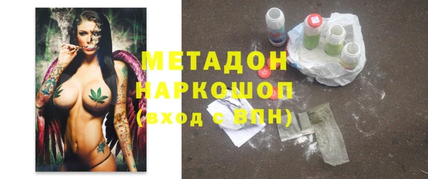 гашик Алексин