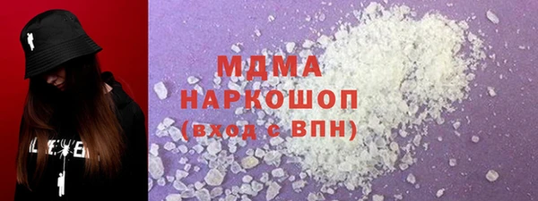 гашик Алексин