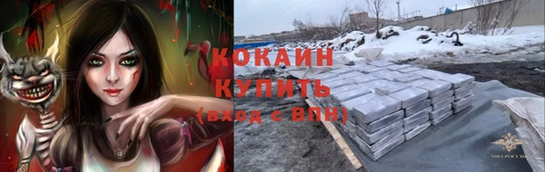 гашик Алексин