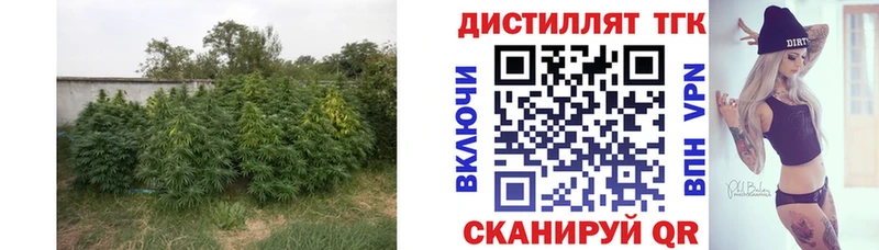 ТГК жижа  Медынь 